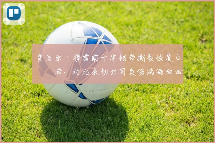 贾马尔·穆雷前十字韧带撕裂恢复迟滞,对比米切尔同类伤病满血回归的案例