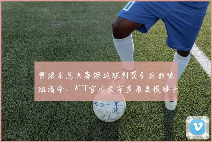 樊振东总决赛擦边球判罚引发教练组请命,WTT官方发布多角度慢镜头回放__br_